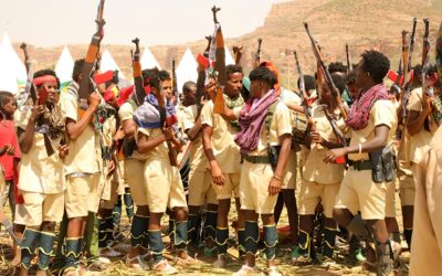 THE TPLF HAS NO AIR FORCE, BUT IT CAN MATCH THE FEDERAL ARMY