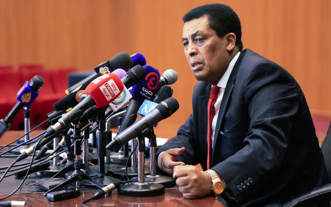 THE MINISTRY OF FOREIGN AFFAIRS OF ETHIOPIA, PRESS BRIEFING