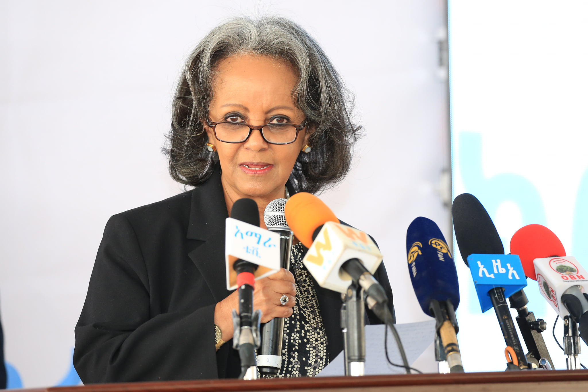 Sahele Work Zewde on Patriotism