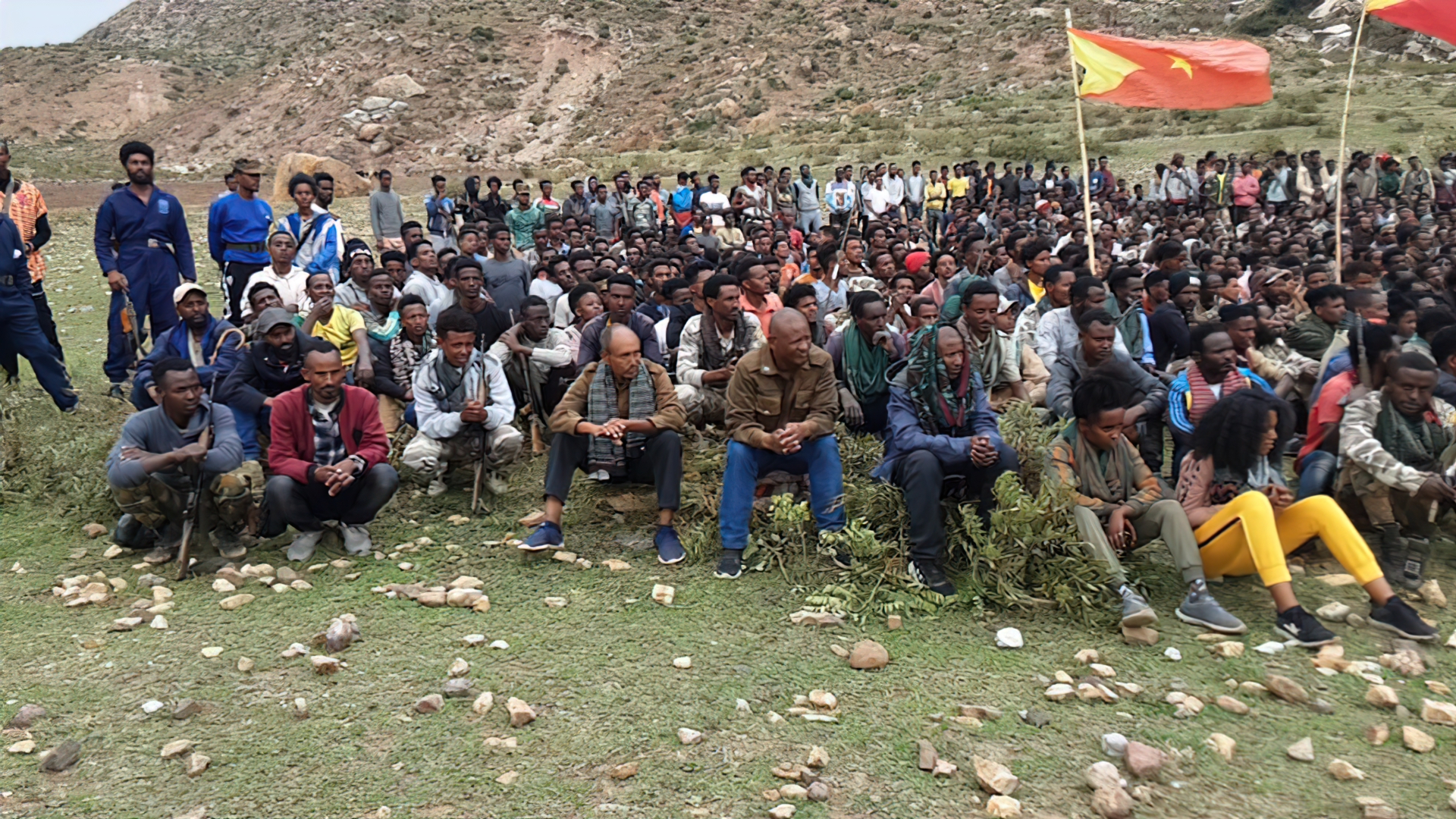 Tigray Defence Forces