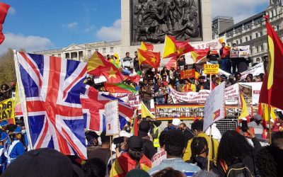 OFFICIAL STATEMENT BY THE GOVERNMENT OF TIGRAY