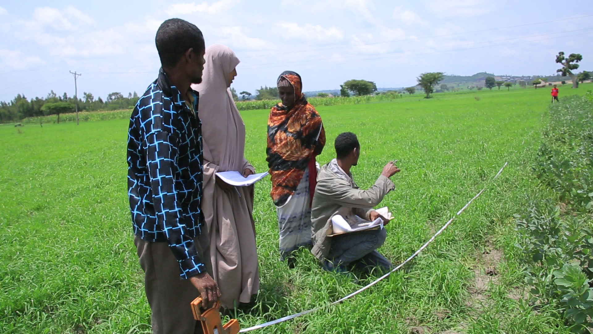 land ownership for farmers