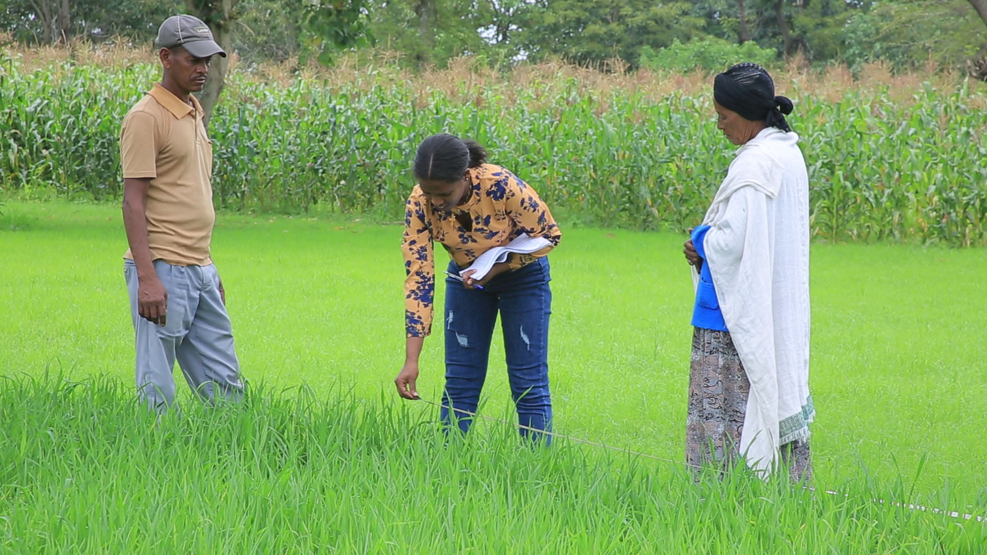 land ownership for farmers