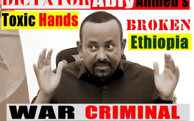 WHY DICTATOR ABIY AHMED AU ASSEMBLY FLOPPED