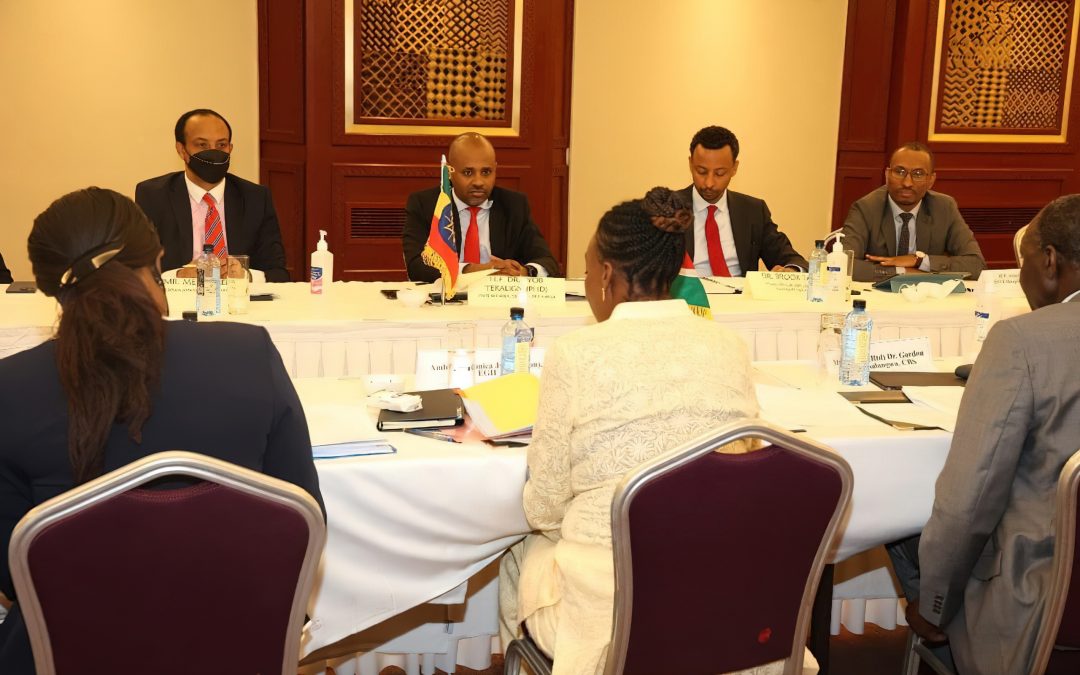 ETHIOPIA AND KENYA AGREE TO EXPEDITE POWER PURCHASE AGREEMENTS