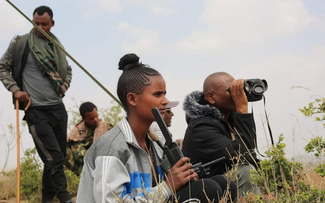 TIGRAY DEFENCE FORCES ARE USING POETRY & MUSIC AS A WEAPON