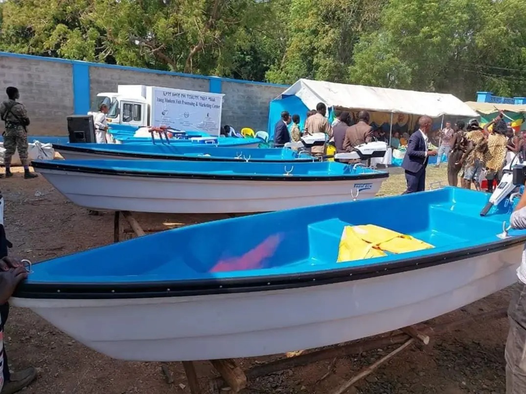 Gambela fishery project