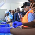 Gambela fishery project