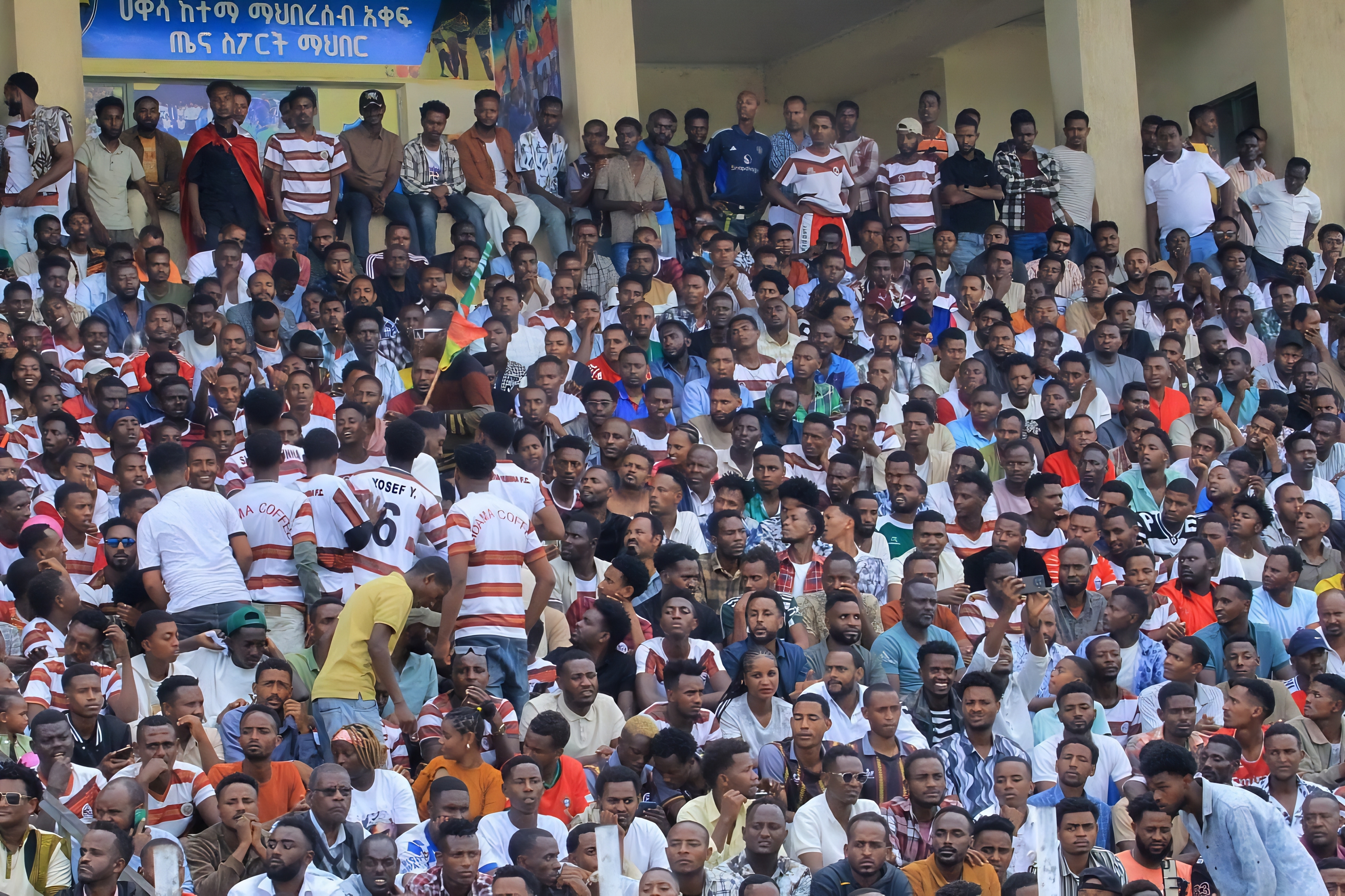 Sidama Coffee Sidama Coffee