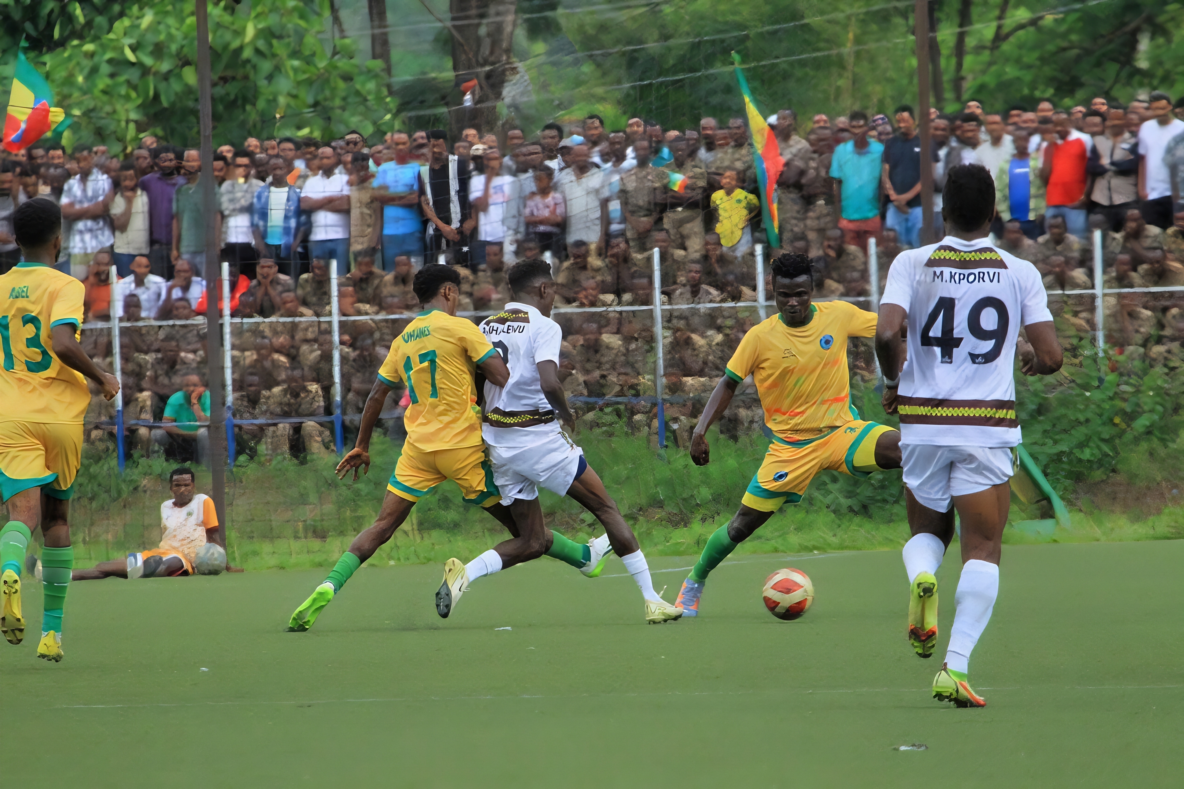 Sidama Coffee Sidama Coffee