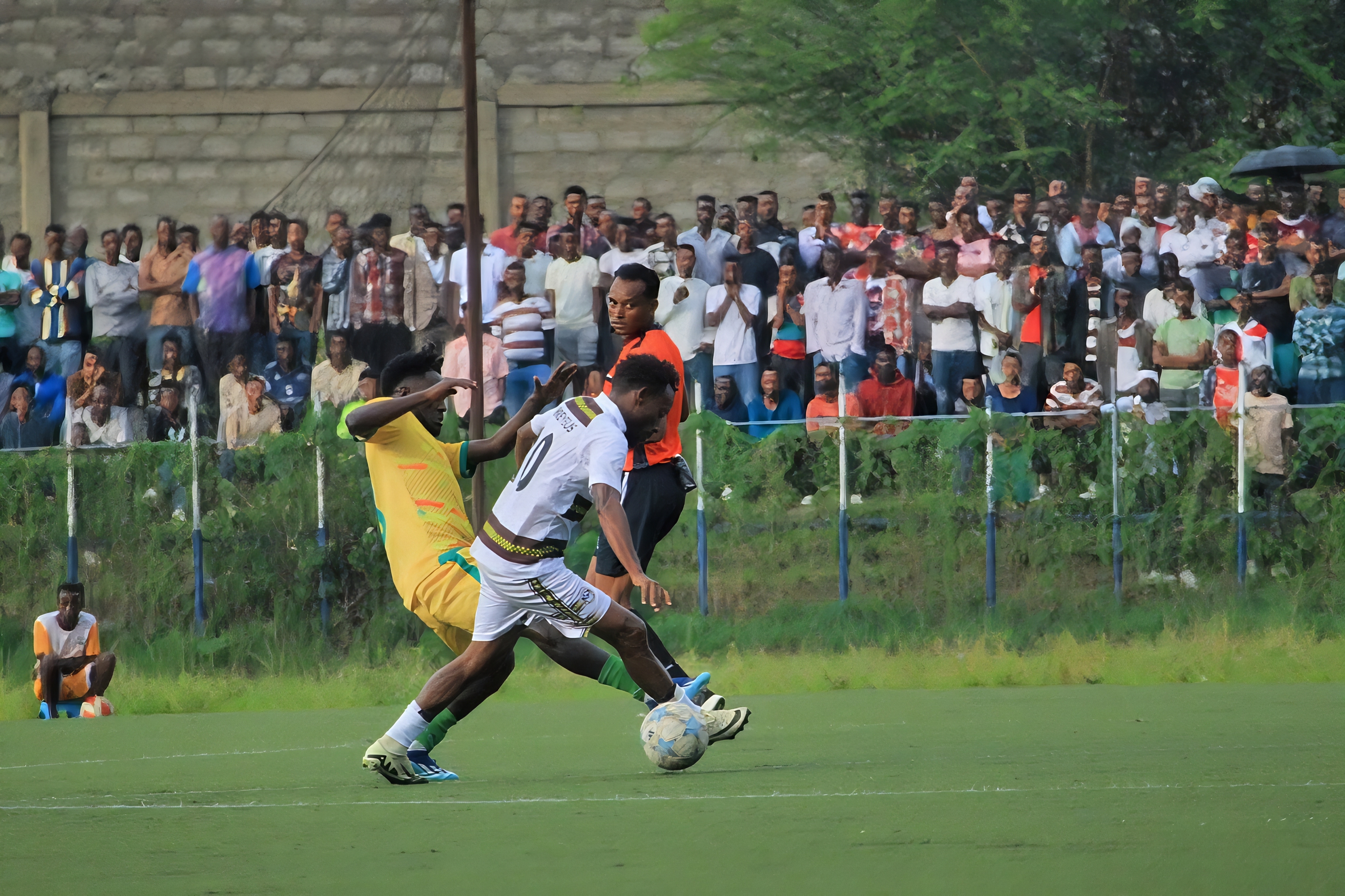 Sidama Coffee Sidama Coffee