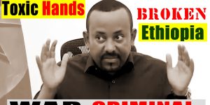 WHY DICTATOR ABIY AHMED AU ASSEMBLY FLOPPED