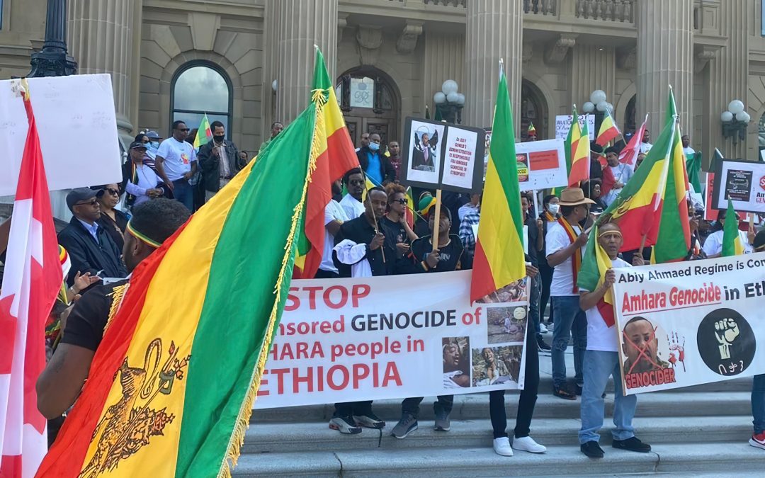 Amhara Genocide