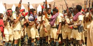 THE TPLF HAS NO AIR FORCE, BUT IT CAN MATCH THE FEDERAL ARMY
