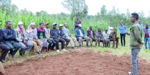 FARMERS TRAINED ON HOW TO GROW ANIMAL FEED