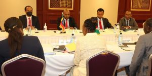 ETHIOPIA AND KENYA AGREE TO EXPEDITE POWER PURCHASE AGREEMENTS